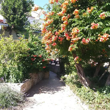 Lägenhet Roko I Niko *